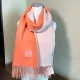 【2026】【LOEWE ロエベ】スカーフ32*180CM   241109