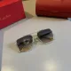 【2026】CARTIER(カルティエ) サングラス  241014