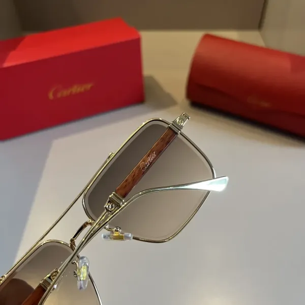 【2026】CARTIER(カルティエ) サングラス  241014
