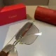 【2026】CARTIER(カルティエ) サングラス  241014