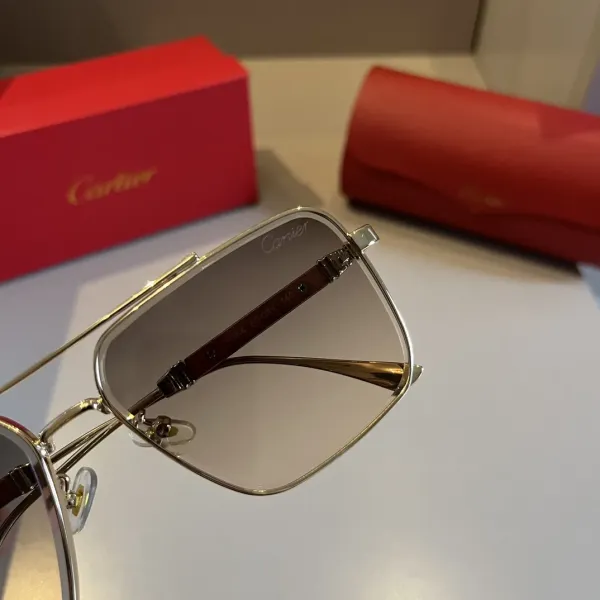 【2026】CARTIER(カルティエ) サングラス  241014