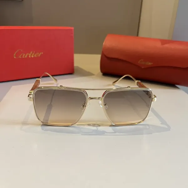 【2026】CARTIER(カルティエ) サングラス  241014
