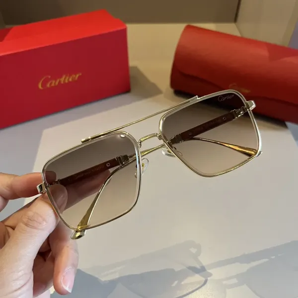 【2026】CARTIER(カルティエ) サングラス  241014