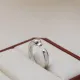 【2026】【CARTIER】カルティエ 指輪 240729 【2026】【CARTIER】カルティエ 指輪 240729
