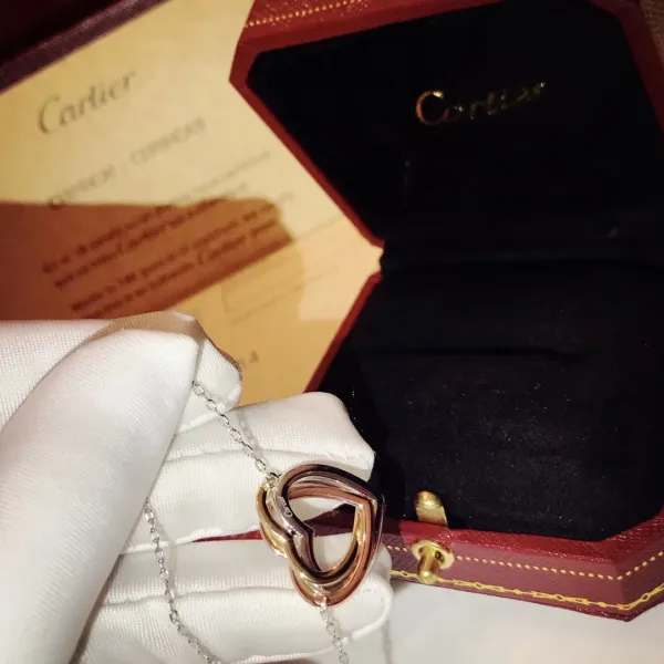 【2026】【CARTIER】ネックレス、新しいネックレス万能シンプルファッションオーナメント 24614