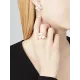 【2026】【Vancleef & Arpels】 コスモス イヤリング、ミディアムモデル