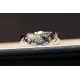 【2026】【CHANEL】シャネル 指輪 【2026】【CHANEL】シャネル 指輪