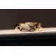 【2026】【CHANEL】シャネル 指輪 【2026】【CHANEL】シャネル 指輪