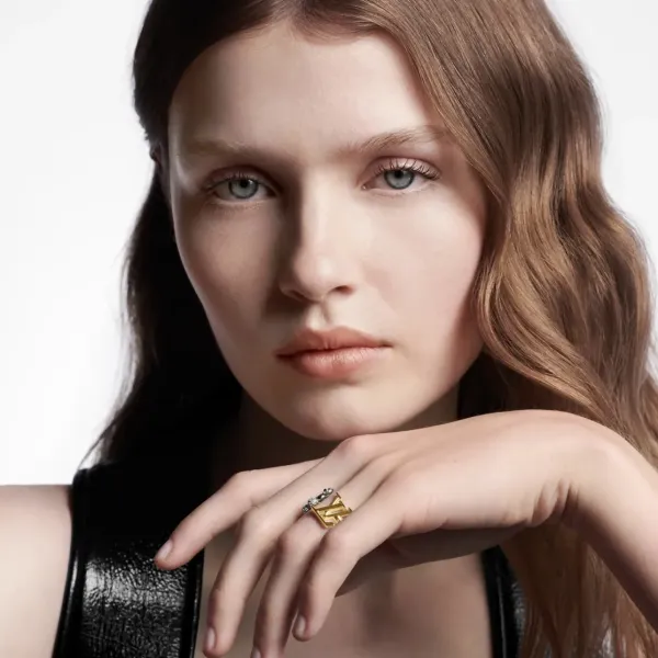 【2026】LV【LOUIS VUITTON】ルイヴィトン 指輪 【2026】LV【LOUIS VUITTON】ルイヴィトン 指輪