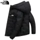 【2026】THE NORTH FACE (グッチ)  ダウンジャケット