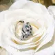 【2026】【CARTIER】カルティエ 指輪 【2026】【CARTIER】カルティエ 指輪