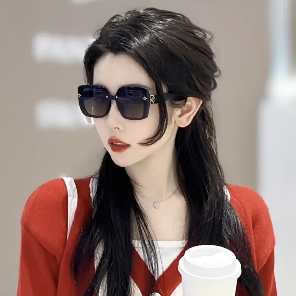 【2026】LOUIS VUITTON( ルイヴィトン) サングラス