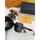 【2026】LOUIS VUITTON( ルイヴィトン) サングラス