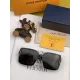 【2026】LOUIS VUITTON( ルイヴィトン) サングラス
