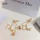 【2026】【DIOR】ディオール ファッションスタイルのイヤリング 【2026】【DIOR】ディオール ファッションスタイルのイヤリング