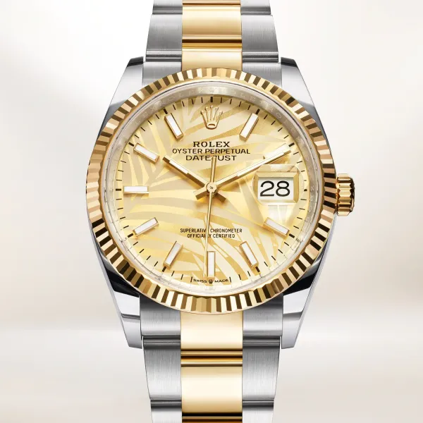【2026】ROLEX デイトジャスト 36 オイスター 36 mm オイスタースチール&イエローゴールド 【2026】ROLEX デイトジャスト 36 オイスター 36 mm オイスタースチール&イエローゴールド