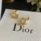 【2026】【DIOR】 ディオール  ファッションスタイルのイヤリング
