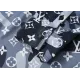 【2026】Louis Vuitton ルイヴィトン  長袖シャツ 2カラー