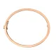 【2026】【Cartier】カルティエ LOVE BRACELET, DIAMOND-PAVED ブレスレット、パヴェダイヤモンド 【2026】【Cartier】カルティエ LOVE BRACELET, DIAMOND-PAVED ブレスレット、パヴェダイヤモンド