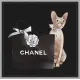 【CHANEL 公式旗艦店】シャネル Tシャツ ご好評に付き再入荷 240719 【CHANEL 公式旗艦店】シャネル Tシャツ ご好評に付き再入荷 240719