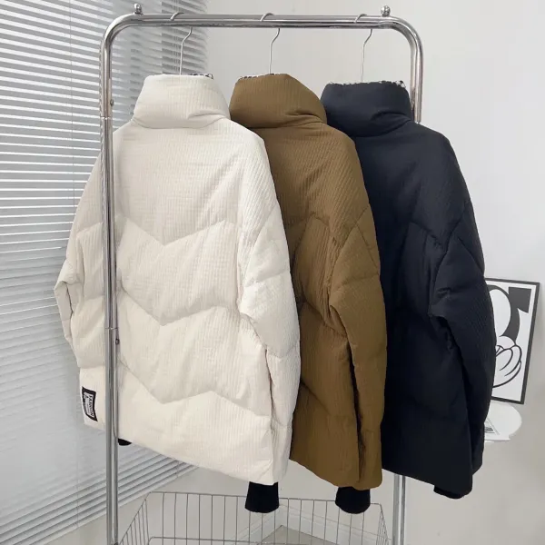 【The North Face 公式旗艦店】ザノースフェイス ダウンジャケット ご好評に付き再入荷！241225