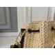 【LOUIS VUITTON 公式旗艦店】ルイヴィトン  斜めがけバッグ 当日出荷 好評に付き再入荷！20*21CM  1240722