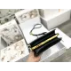 【DIOR  公式旗艦店】 ディオール   ショルダーバッグ 当日出荷 好評に付き再入荷！20*20CM