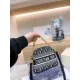 【DIOR 公式 旗艦店】ディオール ショルダーバッグ 当日出荷 好評に付き再入荷!21*16CM 【DIOR 公式 旗艦店】ディオール ショルダーバッグ 当日出荷 好評に付き再入荷!21*16CM