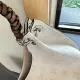 【LOUIS VUITTON 公式旗艦店】ルイヴィトン ハンドバッグ 当日出荷 好評に付き再入荷!34CM 1240722 【LOUIS VUITTON 公式旗艦店】ルイヴィトン ハンドバッグ 当日出荷 好評に付き再入荷!34CM 1240722