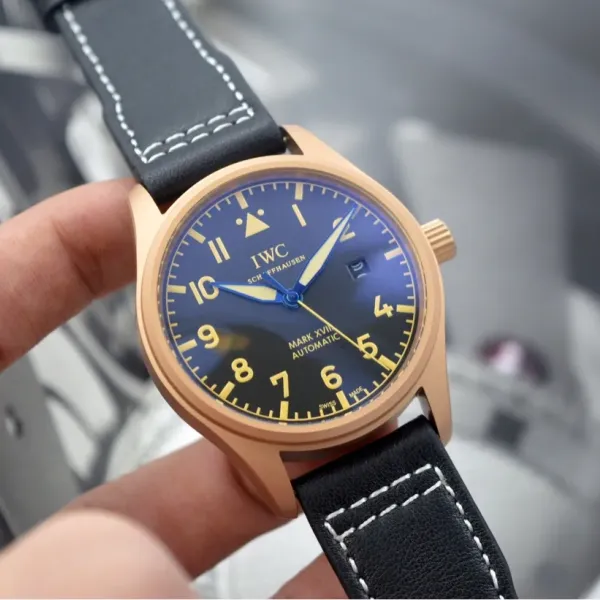 IWC  ( IWC)  腕時計  40*10.8MM