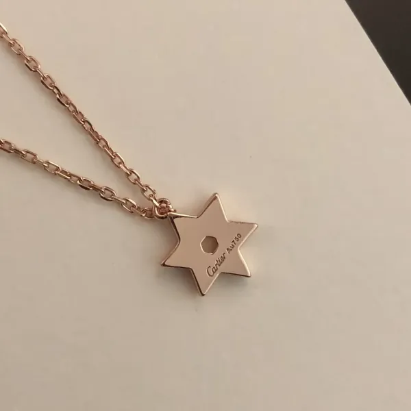 【CARTIER】ネックレス、新しいネックレス万能シンプルファッションオーナメント