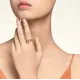 【Cartier】カルティエ Juste un Clou ring ジュスト アン クル リング 14個 【Cartier】カルティエ Juste un Clou ring ジュスト アン クル リング 14個