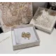【DIOR】ディオール  ファッションスタイルのイヤリング