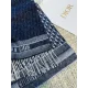 【DIOR  ディオール 】スカーフ  32*180cm  241210