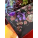 【DIOR  ディオール 】スカーフ90*90cm  241108