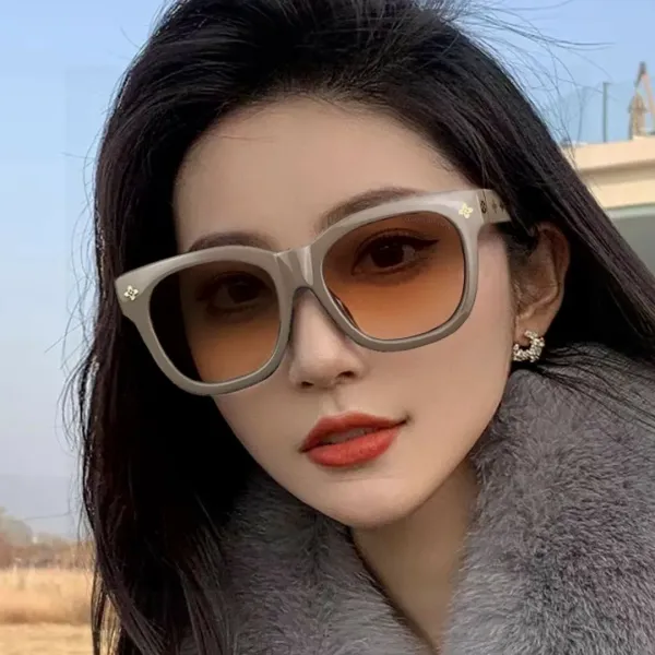 LV LOUIS VUITTON (  ルイヴィトン ) サングラス 241012