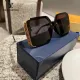 LOUIS VUITTON (  ルイヴィトン ) サングラス
