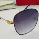 LOUIS VUITTON (  ルイヴィトン ) サングラス