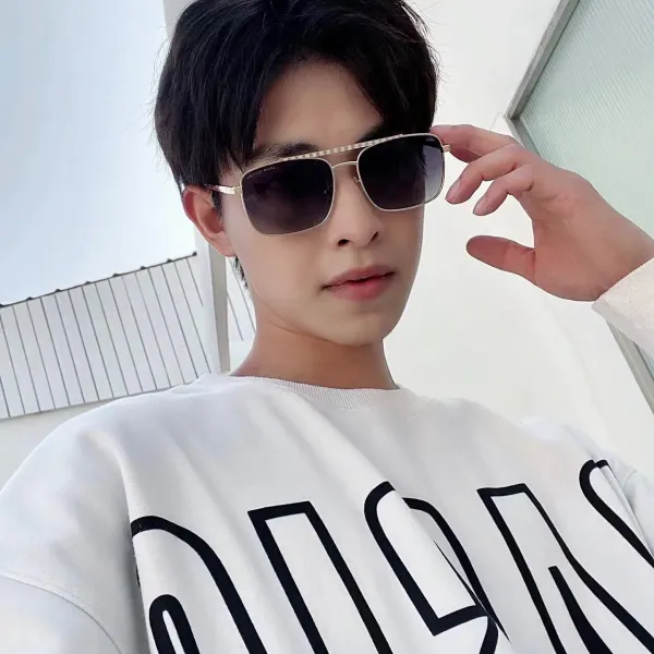 LOUIS VUITTON (  ルイヴィトン ) サングラス