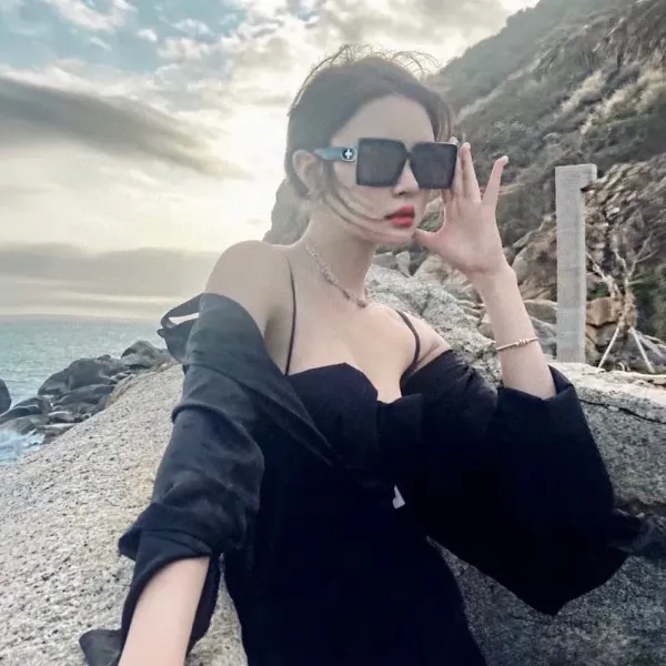 LOUIS VUITTON (  ルイヴィトン ) サングラス