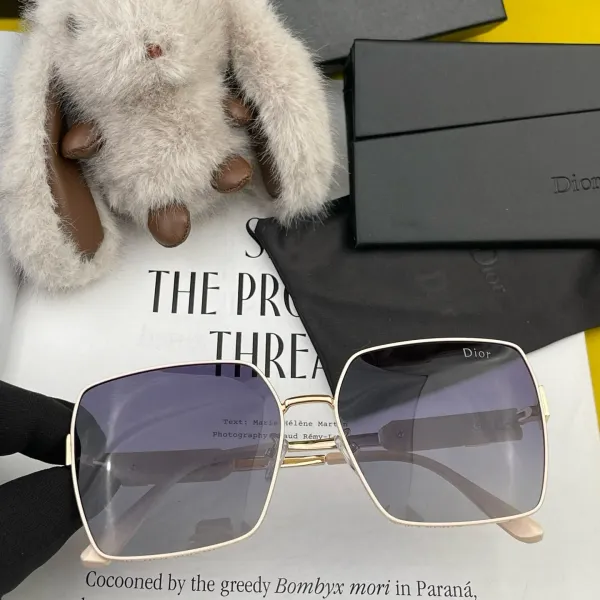 DIOR(  ディオール ) サングラス