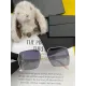 DIOR(  ディオール ) サングラス