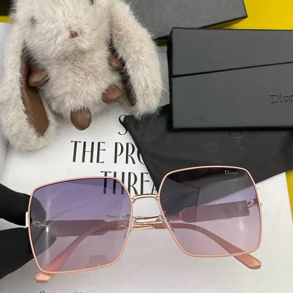 DIOR(  ディオール ) サングラス