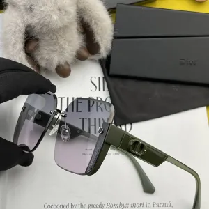 DIOR(  ディオール ) サングラス