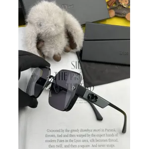 DIOR(  ディオール ) サングラス