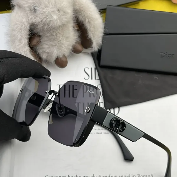 DIOR(  ディオール ) サングラス