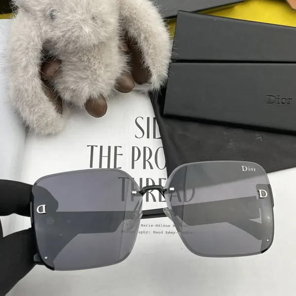 DIOR(  ディオール ) サングラス