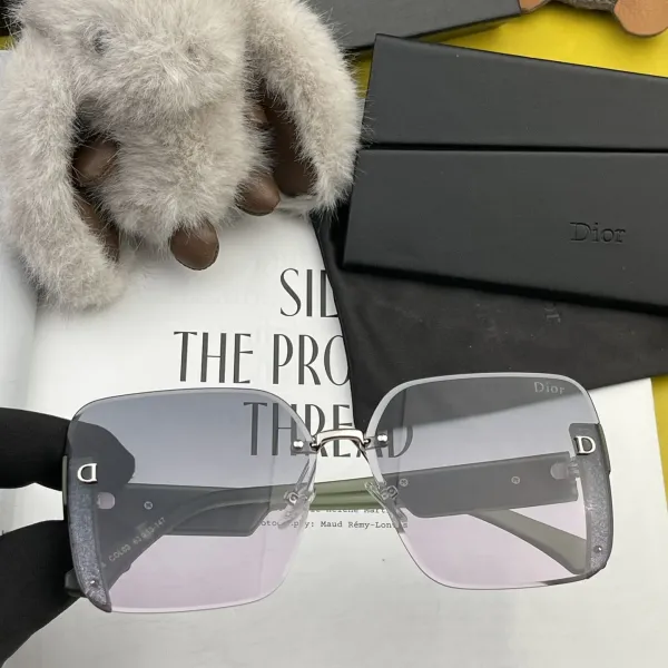 DIOR(  ディオール ) サングラス