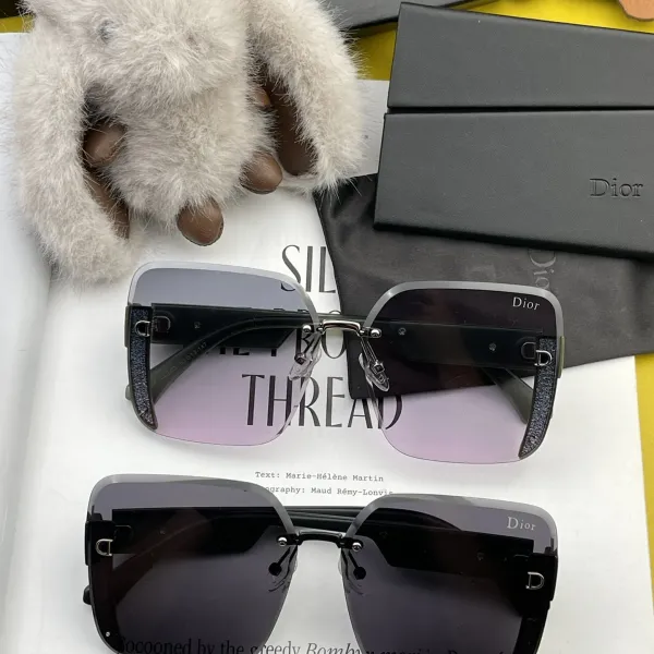 DIOR(  ディオール ) サングラス