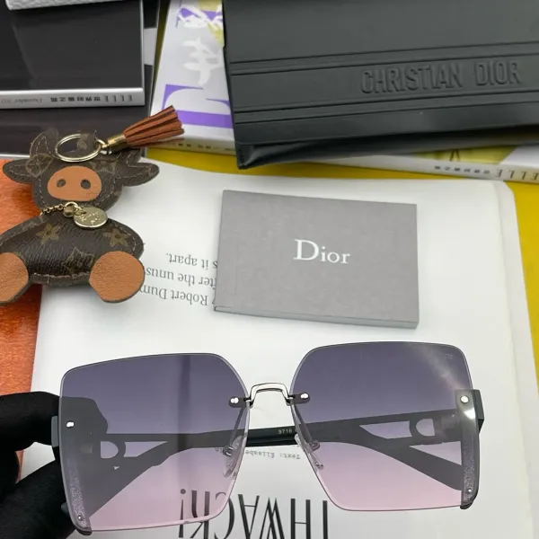 DIOR(  ディオール ) サングラス